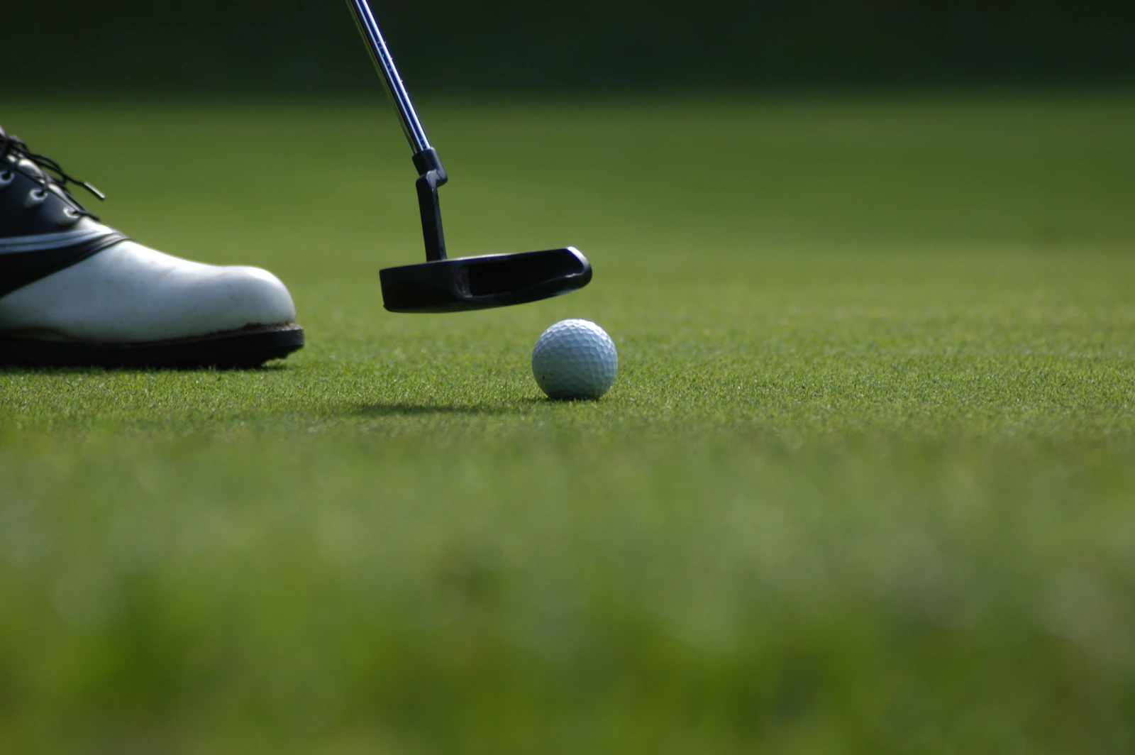 Golf ball on a putting green at sunset
